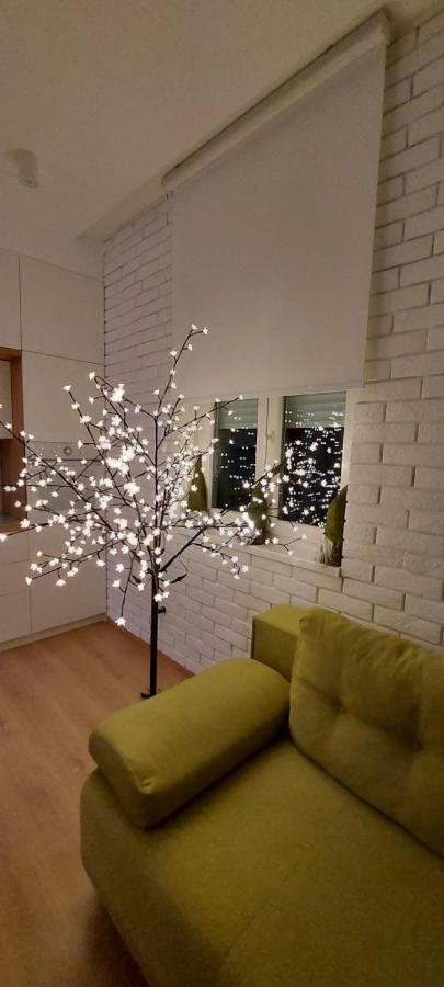 Apartment Ana, Vracar, Beograd Eksteriør billede