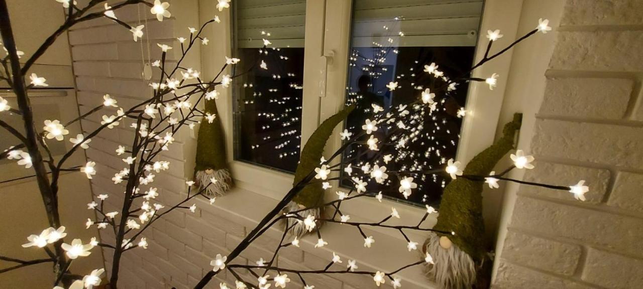 Apartment Ana, Vracar, Beograd Eksteriør billede